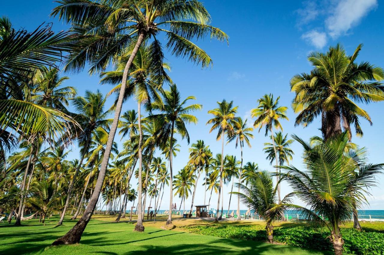 Paraiso Na Terra - Carneiros Beach Resort Tamandaré Kültér fotó