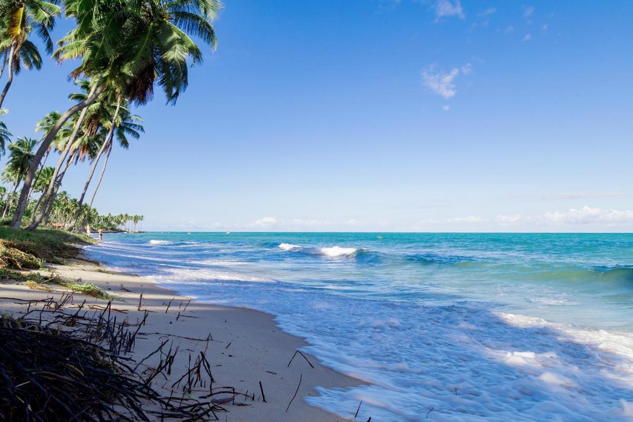 Paraiso Na Terra - Carneiros Beach Resort Tamandaré Szoba fotó